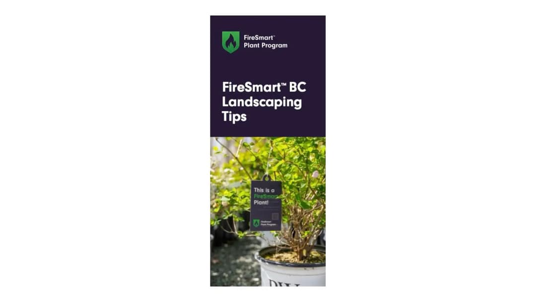 Landscaping Tips Brochure