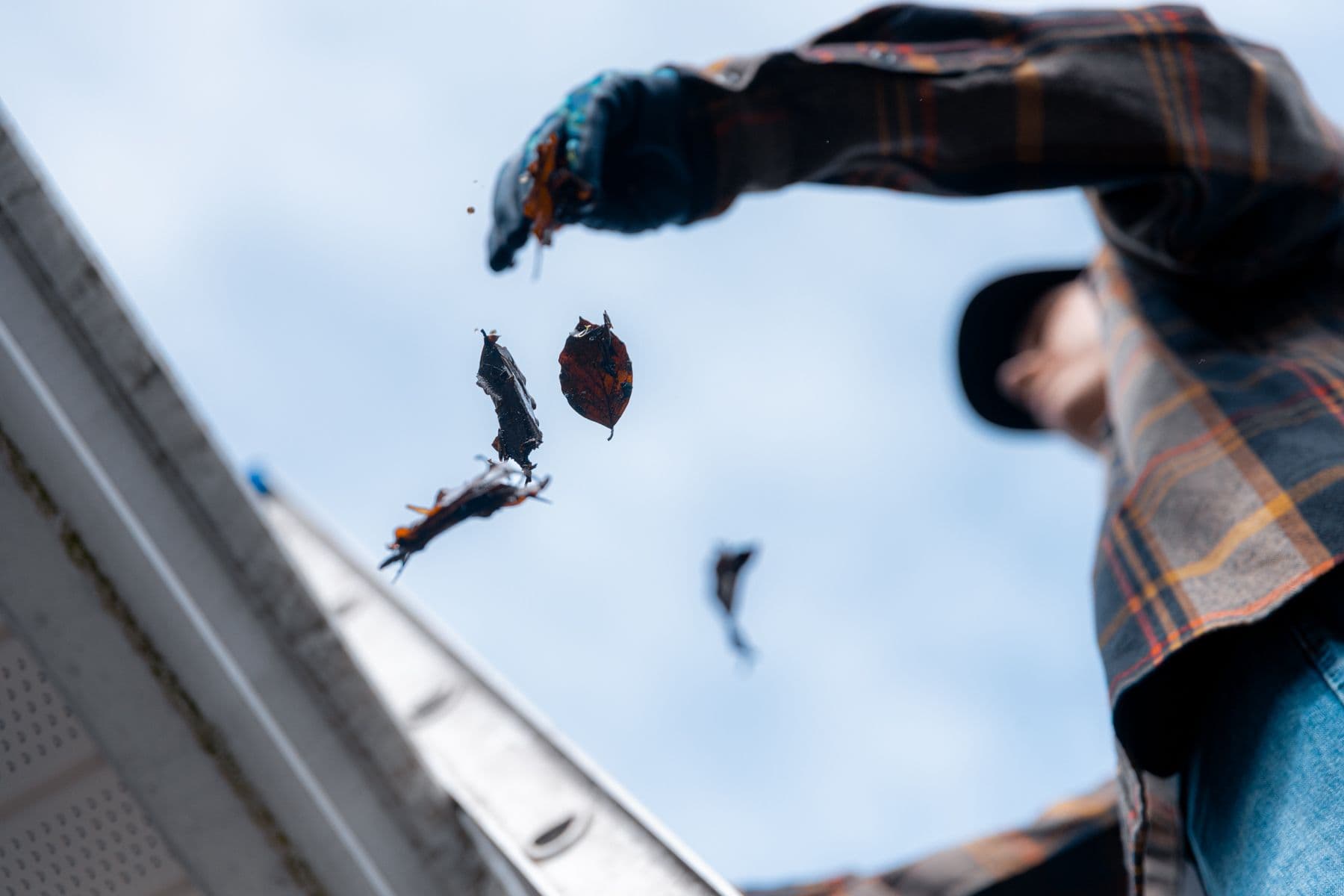 Wildfire Mitigation Program Frequently Asked Questions