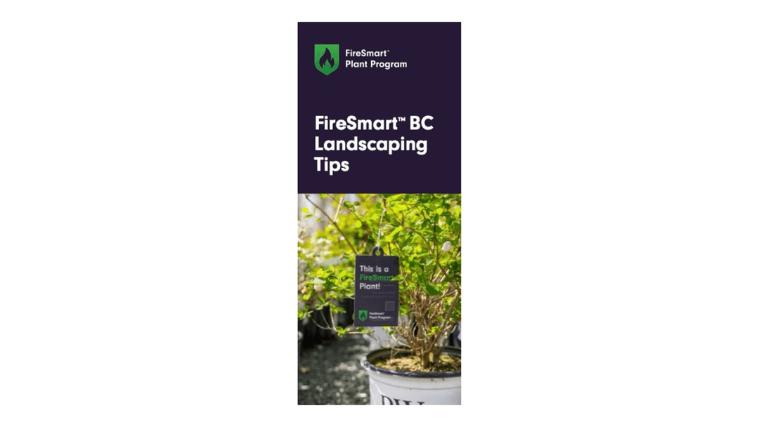 Landscaping Tips Brochure