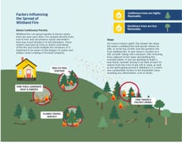 Image showcasing how wildefires spread up a hill.