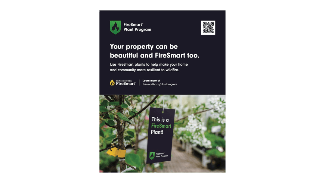 Plant Program Poster