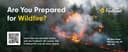 FireSmart mailing template with wildfire background.